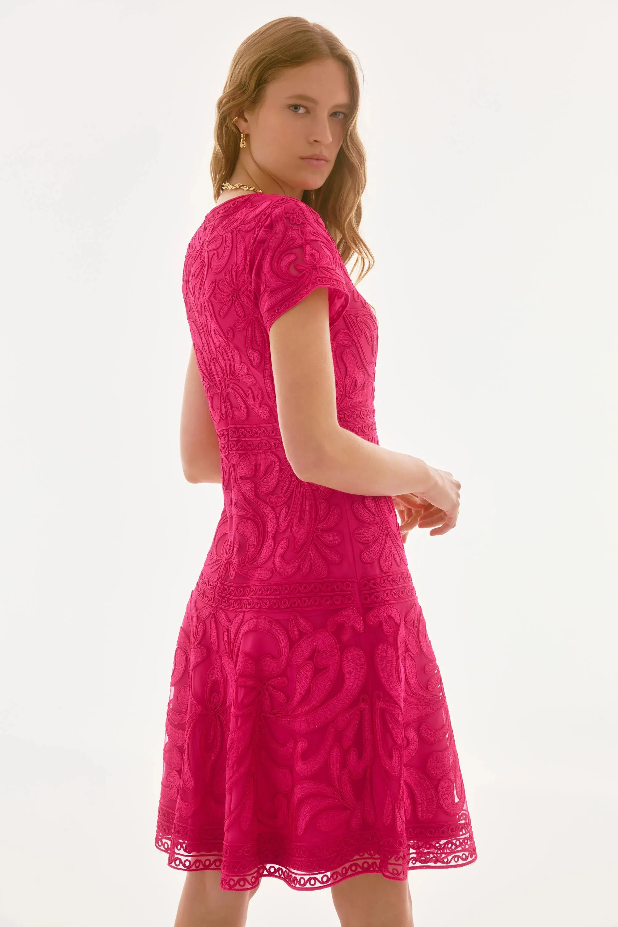 Joseph Ribkoff Geranium Signature | Embroidered Mesh Fit and Flare Dress